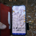 今日はそこまで行かない