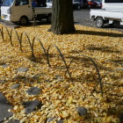 黄色のじゅうたん