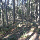 途中にある物見らしきピーク