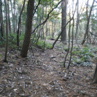 北東にある扁平地