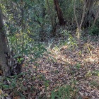 堀はわかりづらい