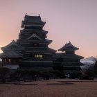 せいたかノッポさん