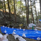 調査中　立入出来ない