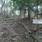 山頂に近づいてきた