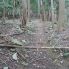 栗原山へ向かう