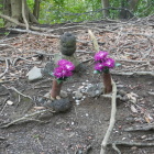 三浦道寸の墓の脇の塚