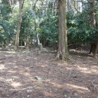 道中扁平地はある