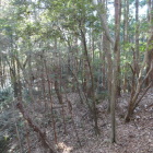 南西にのびるスロープ状の尾根