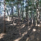 左が土塁（推定）で右が駐屯地