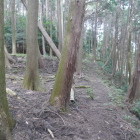 栗原山へ続く道