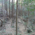 この段々は後世のものかな