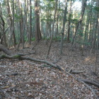 扁平地のようだ