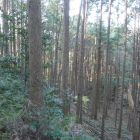 北に伸びる尾根は脱出ルートか