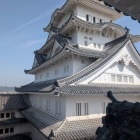 大天守が良く見える