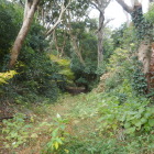 フェンス越しに堀切