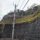 下から見上げる