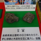 戦国の庭歴史館