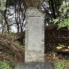 衣笠城址に植えた樹の記録