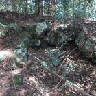 田尻城（主郭南東面の石垣）