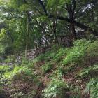 松山城（登り石垣に傷心が癒される&hellip;）