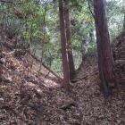 椿尾下城（南西端の堀切）