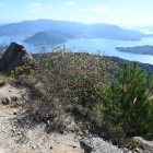 山頂からの眺望