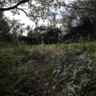 グーグルマップの鹿屋城のマーカー地点