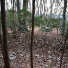 本郭より三の郭