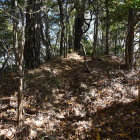 尾根の登城路