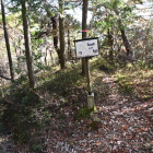 下山コース案内図