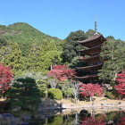 瑠璃光寺五重塔