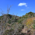 登城路より琴石山を望む