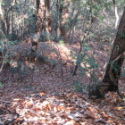 三重堀切（上から）