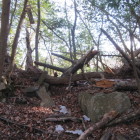 三重堀（その３）浅くなっていました