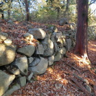 伝布施淡路丸の石垣