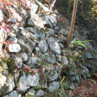 伝楢崎丸の石垣