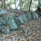 伝沢田丸？右側の石垣