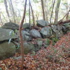 大見付(郭)の石垣