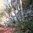 伝楢崎丸の石垣