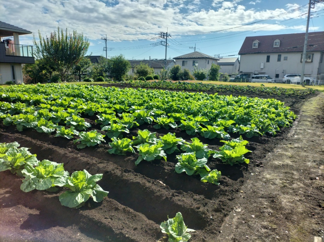 ピン位置を北西側より