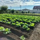 ピン位置を北西側より