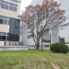 ここまで進入できるかがカギ…