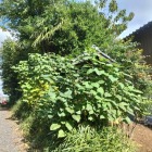 ピン位置よりやや東側2