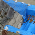 東小天守台石垣