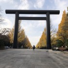 靖国神社第一大鳥居とイチョウ