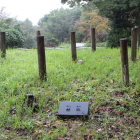 主郭内部の櫓跡表示木柱