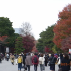 乾通り抜け紅葉スタート