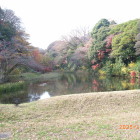 初対面の道灌濠