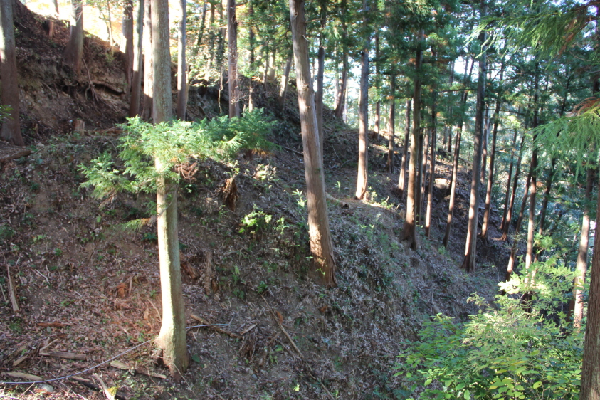 本丸北土塁北側法面が灌木伐採Ⅰ