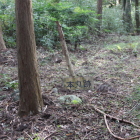 本丸跡、表示板が倒れてる